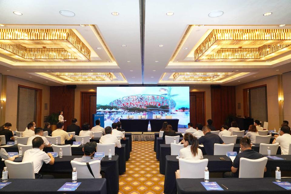msn, 市场运营部