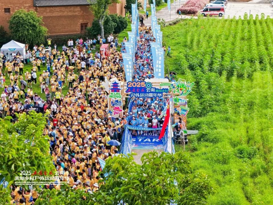 跑上滇池绿, bt 跑上滇池绿, bt