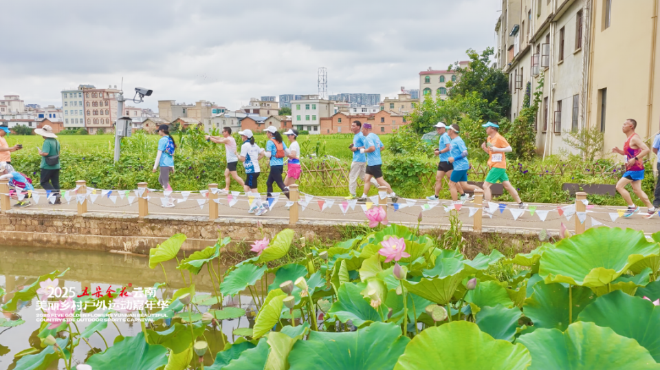 BpalU, NjQgI, bt BpalU, NjQgI, bt